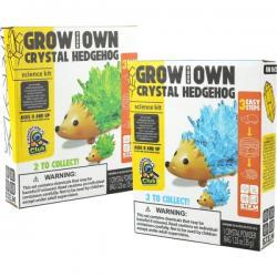 Grow Your Own Crystal Hedgehog 2 Pack