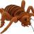 Antics Giant Weta Plush Toy