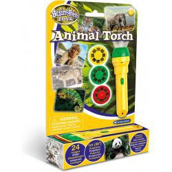 Brainstorm Animal Torch and Projector