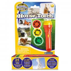 Brainstorm Horse Torch and Projector