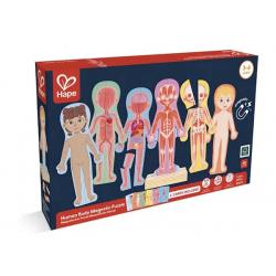 Human Body Magnetic Puzzle Set