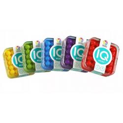 IQ Mini Brain Teaser Game