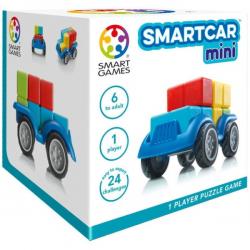 SmartCar Mini Brain Teaser Puzzle
